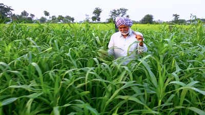 Representative image Farm loans with less paperwork? Centre explores digital land record link