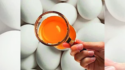 Unsafe deliveries Rotten eggs, spoiled parathas: Swiggy gets 9 notices from FSSAI