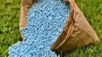 Govt has allocated little less than Rs 1.8 lakh crore fertiliser subsidy for 2026-27 Centre uses 40% of annual fertiliser subsidy in first 3.5 months