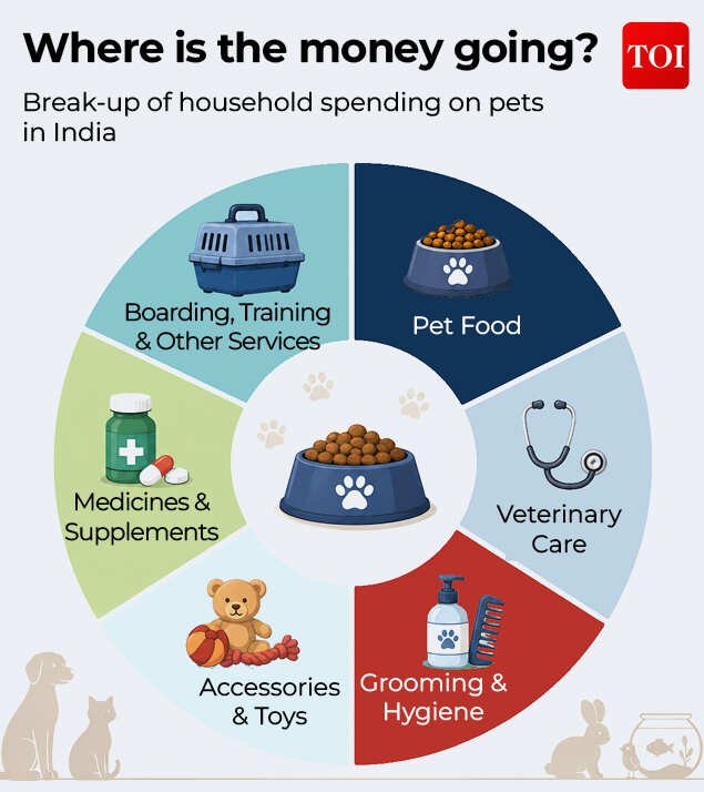 Household spendings