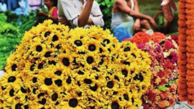 Representative Image How seed sellers of flowers that bloom in the shape of birds, butterflies, teddy bear and cat heads are 'troubling' big online retailers like eBay and Etsy