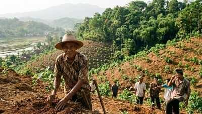 In 1996, Indonesia's 'crazy' tree planter who was mocked for his mission planted 11,000 trees and turned barren hills into a green paradise