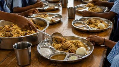 In Tamil Nadu, the noon-meal initiative is exploring the addition of chicken biryani to its menu (Representative image generated using AI) Why a chicken biryani demand for Tamil Nadu schools is making headlines across India