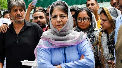 'I regret it': Mehbooba Mufti claims Jantar Mantar remark a slip of tongue, apologises