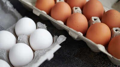 Midwest Poultry Services Nearly 1.6 million dozen eggs recalled over possible salmonella contamination after FDA alert, with Kroger and Brookshire stores in five US states affected