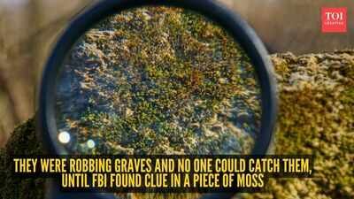 Representative image They were robbing graves and no one could catch them, until FBI found clue in a piece of moss