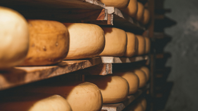 Europe's extreme heat is threatening Italy's 800-year-old Parmesan tradition: Why climate change is reaching your dinner table