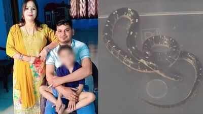 'Love affair, snakebite, Rs 20 lakh insurance': How UP woman, lover plotted husband's murder; 4 arrested