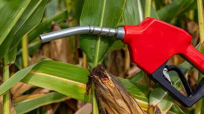 Representative image 'No controversy, only misrepresentation': Puri clears E25 rollout confusion; Gadkari pushes multi-fuel future