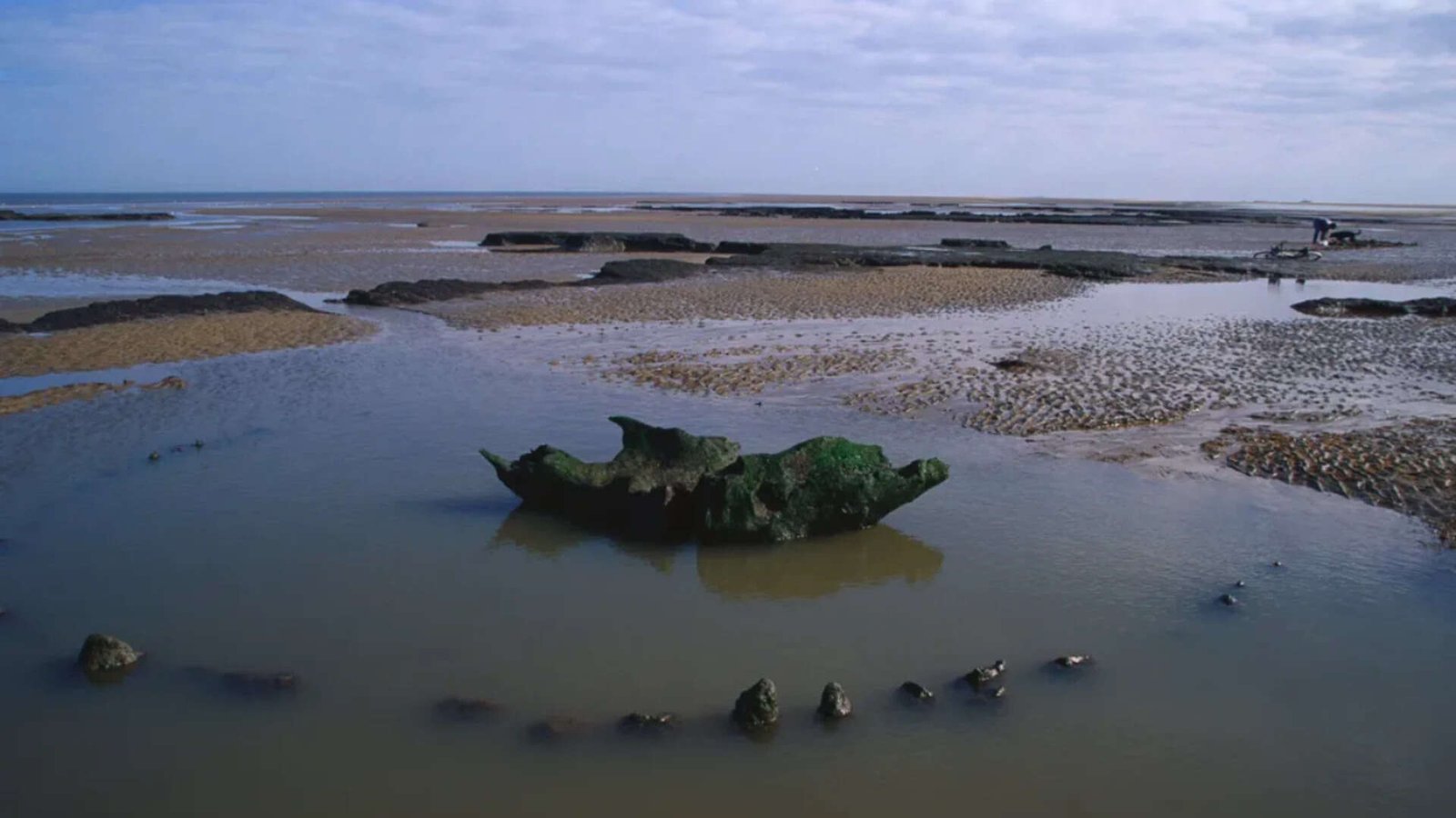 Remnants of Seahenge