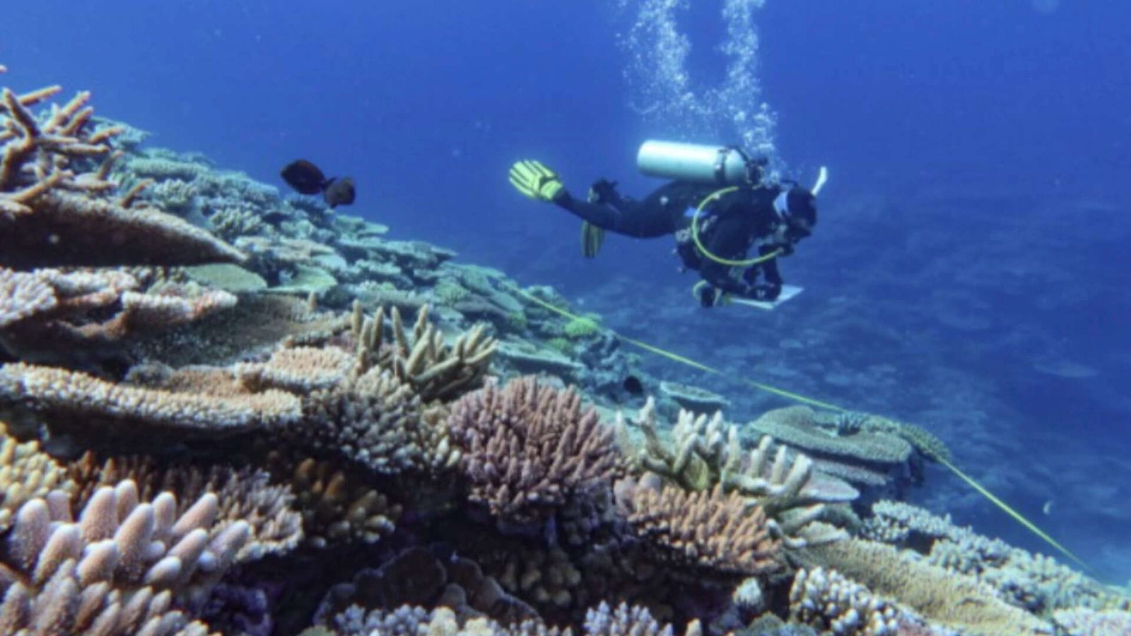 Researchers collected DNA directly from seawater and analysed it using metagenomics. (Representational photo)