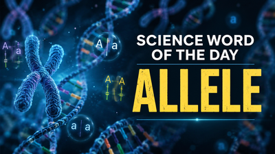 Image: AI Generated Science word of the day: Allele, know its meaning, who introduced the term, and its practical applications