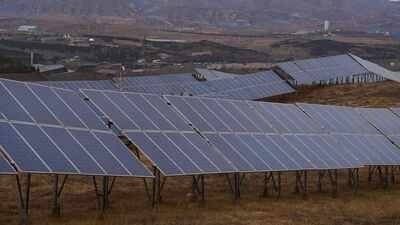 Representative Image Two solar farms in Minnesota restored native wildflowers, grasses as well as proved beneficial for insects, including bees, butterflies and wasps; with scientists calling it evidence of ...