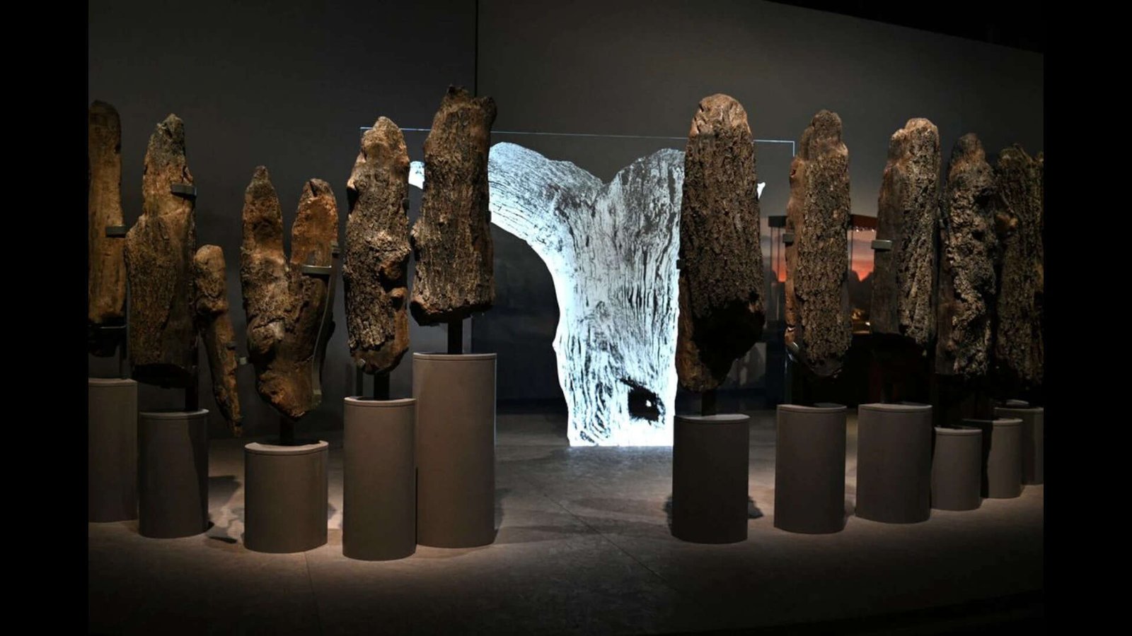 Seahenge in the museum