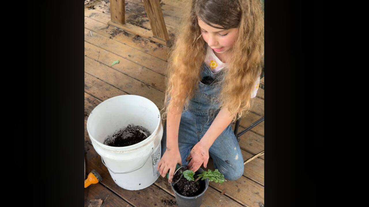 She often posts videos online on her YouTube channel named 'Adelynn's Plant Rescue'.