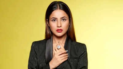 Shehnaaz Gill opens up on why Bollywood offers dried up: 'I've become a star in the Punjabi film industry' Shehnaaz Gill opens up on why Bollywood offers dried up: 'I've become star in the Punjabi film industry'