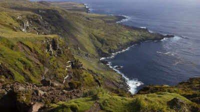 Six helicopters will drop 550 tons of poison on this island: Why a project is spending $10 million on this exercise