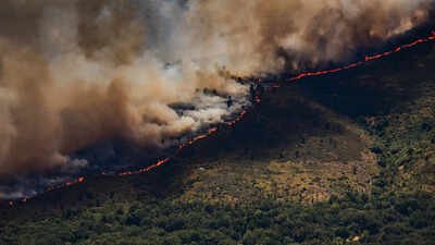 A wall of flames advances as a wildfire burns near Burgohondo, in Ávila province, Spain (Picture credit: AP) 'All out of control': Spain invokes first wildfire emergency as fires rage across Europe; over 10,000 evacuated