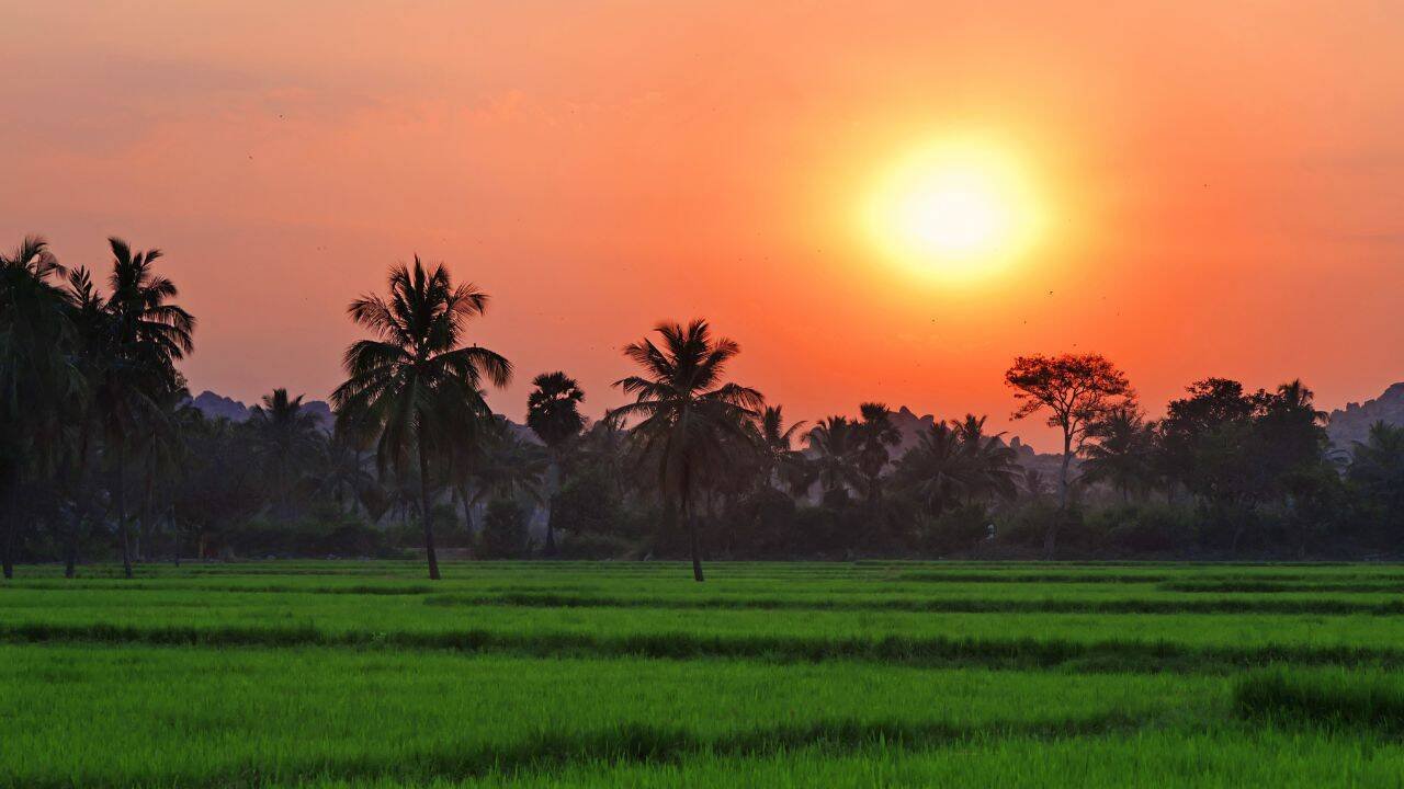 Sunset