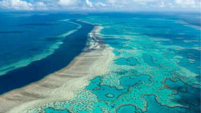 The Great Barrier Reef near the Whitsunday, Australia, region is viewed from the air (AP photo) Scientists mapped the invisible microbiome of the Great Barrier Reef and found more than 500 new bacterial species and over 300,000 viruses in its waters