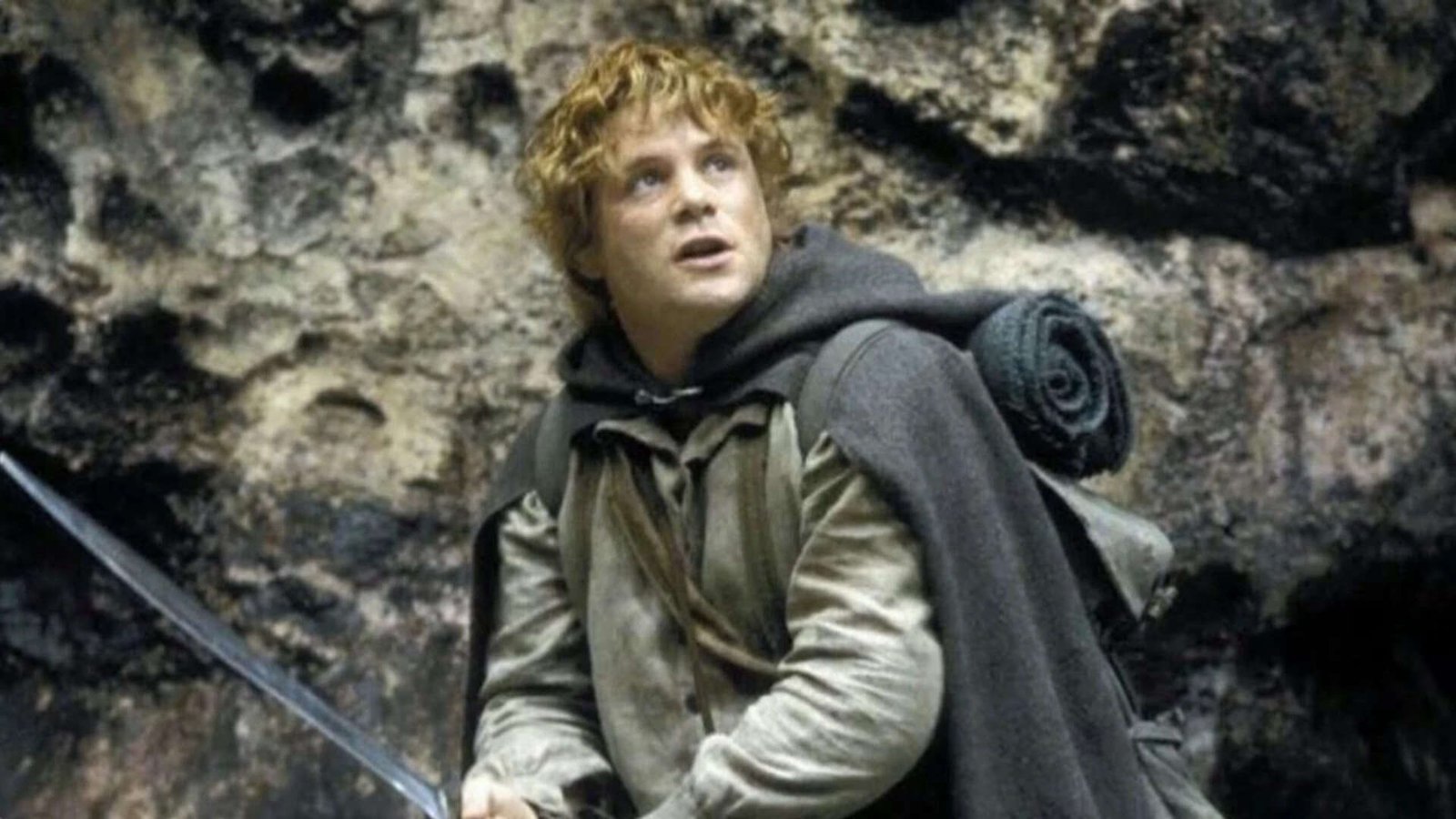 'The Lord of the Rings' became a global hit despite modest cast salaries