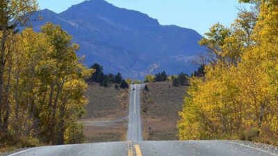 California will spend $36.4 million repairing Ebbetts Pass, one of the last wild trans-Sierra routes, where the highway climbs above 8,000 feet and narrows to one lane