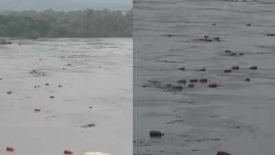 Three thousand LPG cylinders were swept into the Patalganga river. Watch: Heavy rain sends 3,000 LPG cylinders floating down river in Maharashtra's Raigad