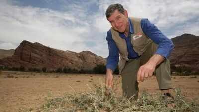 An Australian “forest maker” helped farmers in Niger regrow more than 200 million trees by pruning living stumps, roots and seeds hidden beneath dry land