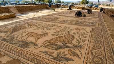 Türkey farmer unearthed a 1,700-year-old Roman mosaic while farming cherry trees on his land; what happened next shocked historians