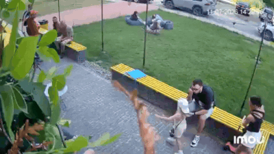 Video credit: Reuters Watch: Ukrainian woman shields child as Russian strikes hit Sumy