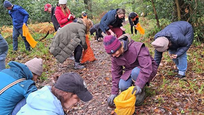 Volunteers hand-collect native tree seeds from Scotland's remote woodlands to help restore the country's endangered Atlantic rainforest and native forests. Around 100 volunteers collected 11 million seeds by hand across Scotland; nearly 8 million native trees are now being grown to rebuild its disappearing Atlantic rainforest