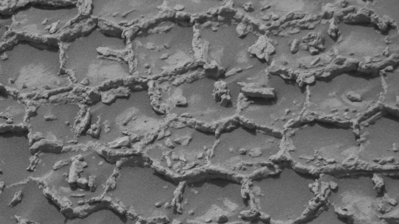What Made the Honeycomb Structure