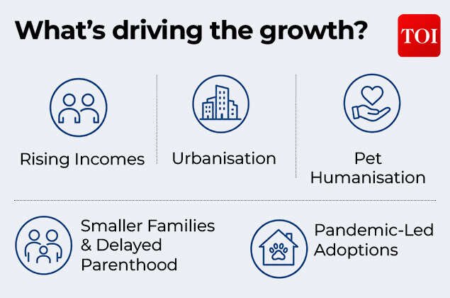 What's driving the growth