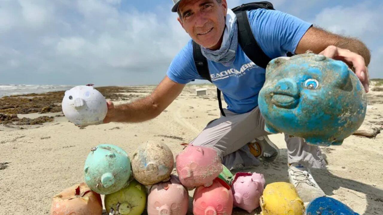 When locals got the news, they began calling them "sea pigs."