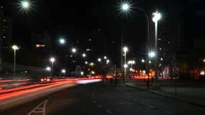 Representative image Scientists found that white streetlights can trap more than 5,000 pill bugs in giant circular “death spirals,” exposing them to predators and wasting their energy
