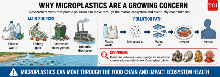 Why microplastics are a growing concern