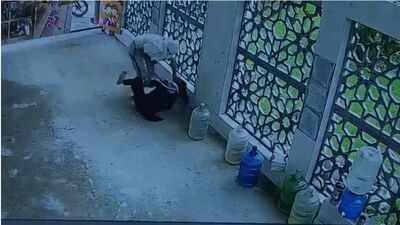 Faridabad school teacher stabbed to death by masked man; CCTV captures attack
