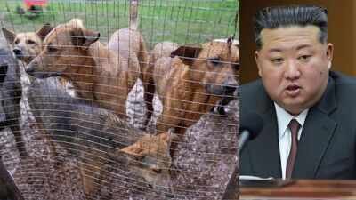 North Korea’s state media recommends dog meat soup to combat summer heat as temperatures soar above 40°C across the peninsula. North Koreans told to eat dog meat soup to beat summer heat