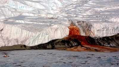 Blood Falls. Image Credit: National Science Foundation/Peter Rejcek <b>Scientists finally solve the mystery behind Antarctica's Blood Falls: 2.5-million-year-old life beneath the glacier surprises researchers </b>