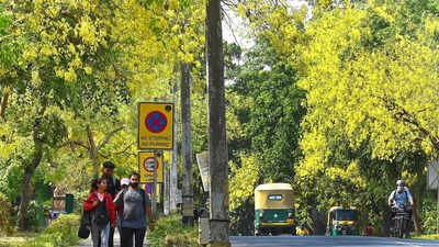 The Comptroller and Auditor General raised concerns about the inadequacies within the Green India Mission program, noting that the goal of increasing forest cover was far from realized over a decade. The audit pointed to significant issues in planning and financial oversight, which severely undermined the mission's objectives. Key vulnerable areas were neglected during afforestation, diminishing efforts to combat climate change. CAG finds 98% shortfall in Green India Mission forest cover targets, red-flags multiple lapses