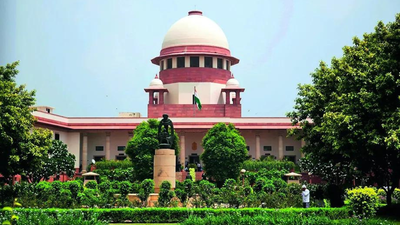 SC said that cruelty does not distinguish between married and unmarried women SC expands ambit of Sec 498A to cover cruelty in live-ins too