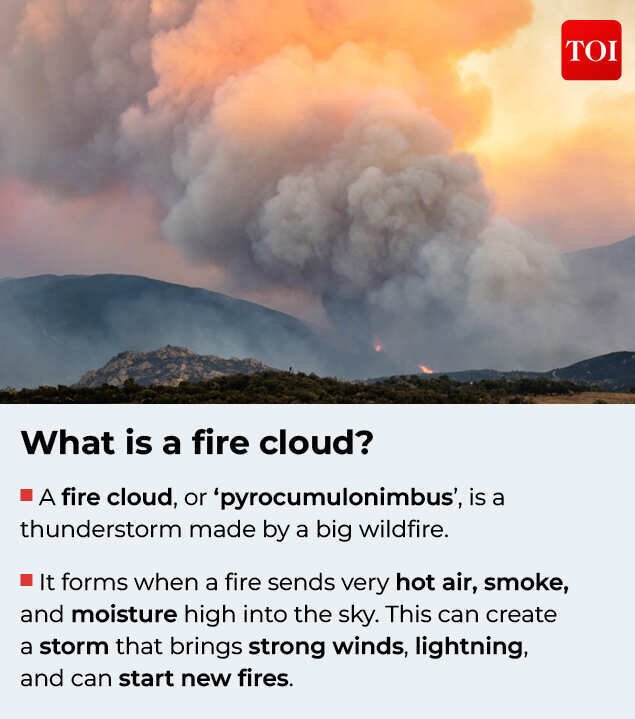 France wildfires