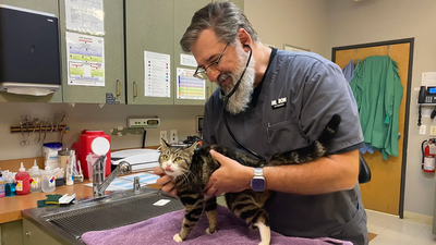 Ron Titterington has "soft-retired" after decades as a practice owner and chief medical officer at a pet care HMO (Credits: Ron Titterington) In 2023, an Oregon veterinarian left a $150,000 job to ‘soft retire’; three years later, relief work pays about twice as much