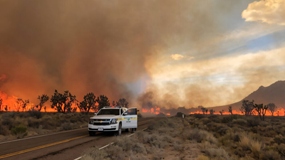 Digital tools deployed to rebuild desert ecosystems after destructive fires California lost as many as 1.3 million Joshua trees in the 2020 Dome Fire; new software now helps park managers target recovery after wildfires