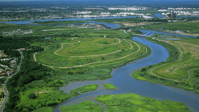 New York City The City of New York Mayor Michael R. Bloomberg Wetlands Strategy In the 1990s, New York chose wetlands over conventional storm sewers on Staten Island; the Bluebelt strategy saved taxpayers $80 million in infrastructure costs