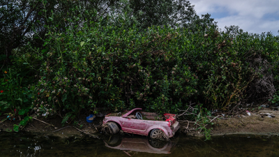 50 Million Gallons of Sewage Flow Daily From Mexico Into California Beaches In 1986, a California city began polishing sewage through constructed marshes; the 307-acre system is now a wildlife sanctuary that has hosted over 300 bird species