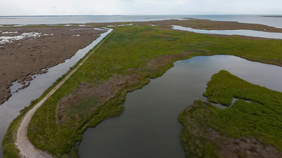 From Dredge to Delta: USACE, Partners Restore Roughly 70 Acres of Wetlands at Deal Island Wildlife Management Area A $13.5 million Maryland project turned dredged sand, silt and shell into roughly 70 acres of wetland habitat for threatened marsh birds