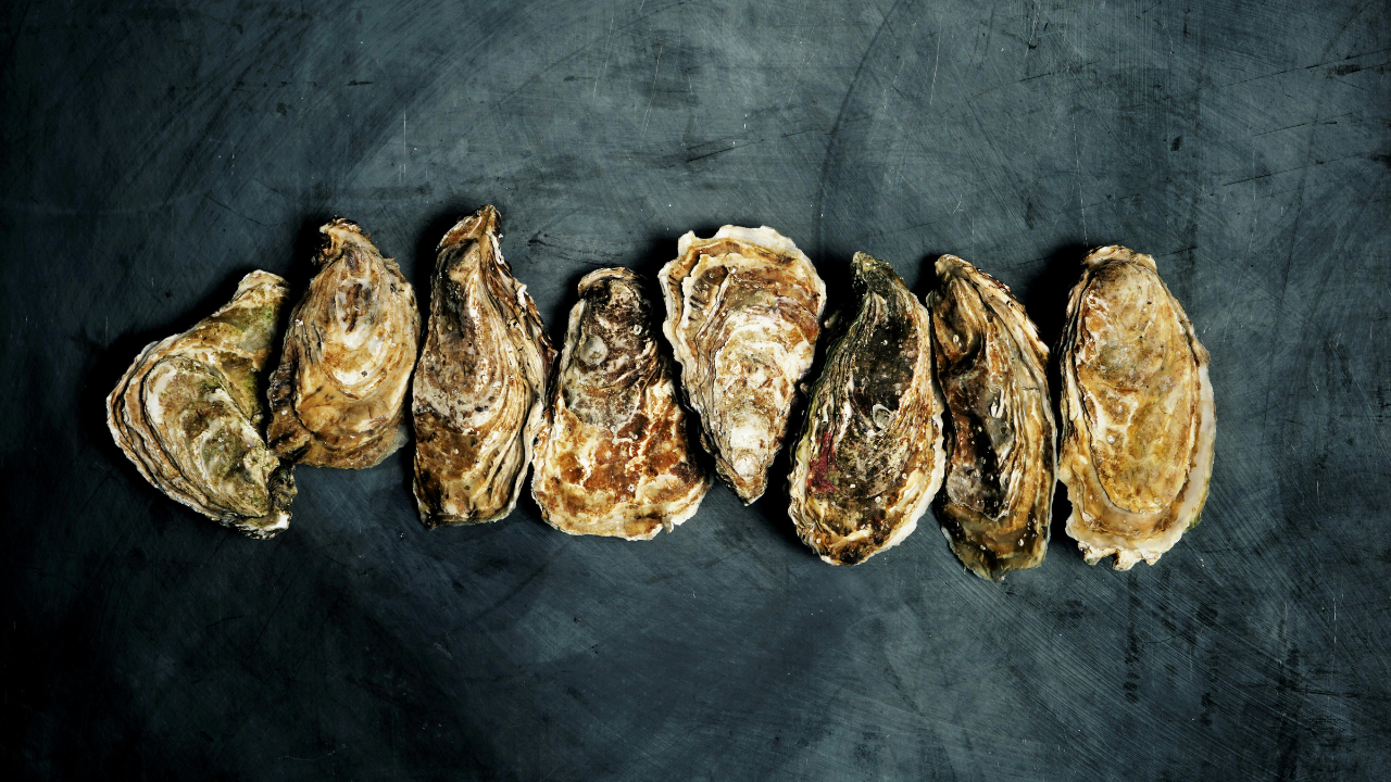 Japan's Hiroshima produces about 60% of its farmed oysters, but up to 90% have died amid unusually warm seas