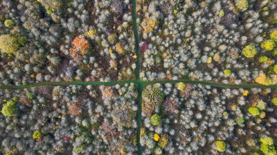 Bedfordshire farm was saved through public donations after a successful £1.5m crowdfunding campaign In 1988, an English farmer stopped cultivating his entire 377-acre wheat farm; 35 years later, it became one of central England’s biggest refuges for scrub, woodland and rare wildlife