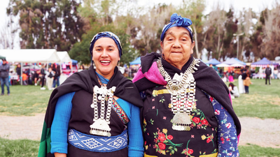 In 1993, Chile adopted an Indigenous Law that enabled land restitution In 1993, Chile adopted an Indigenous Law that enabled land restitution; by 2023 more than 510,000 acres had been returned to Mapuche communities, but native forest cover had barely changed